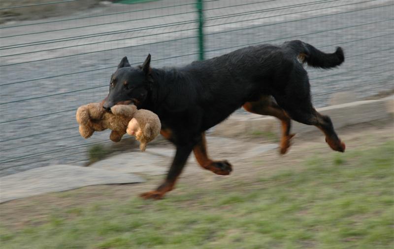 DSC_0005_large.JPG