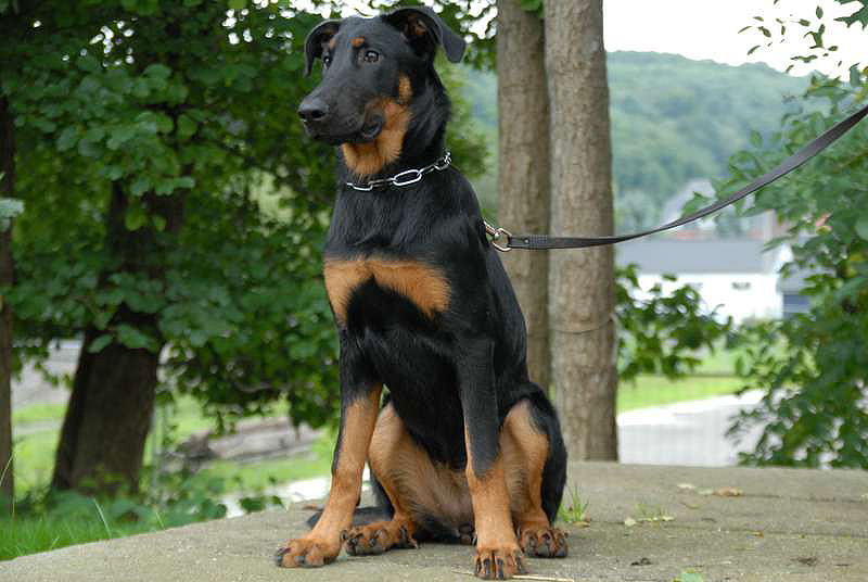 NIK_00380%20%5B800x600%5D.JPG
