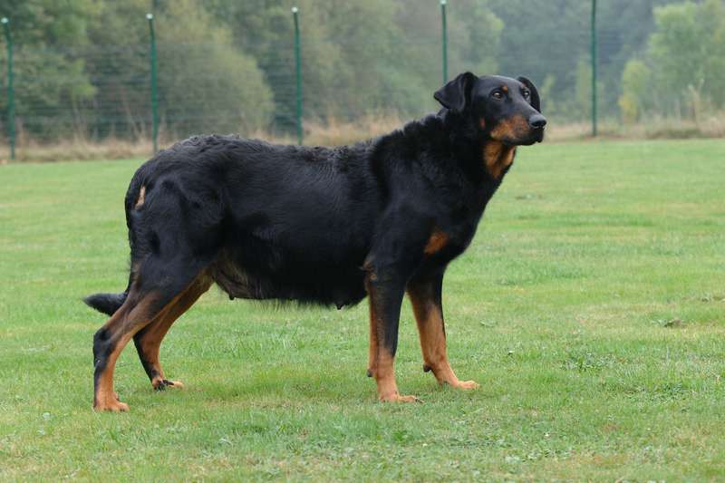 -2semaines%20%5B800x600%5D.JPG