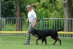Floyd, le meilleur puppy en action