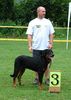 Fosco, 3e puppy
