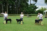 Classement des puppy m&acirc;le