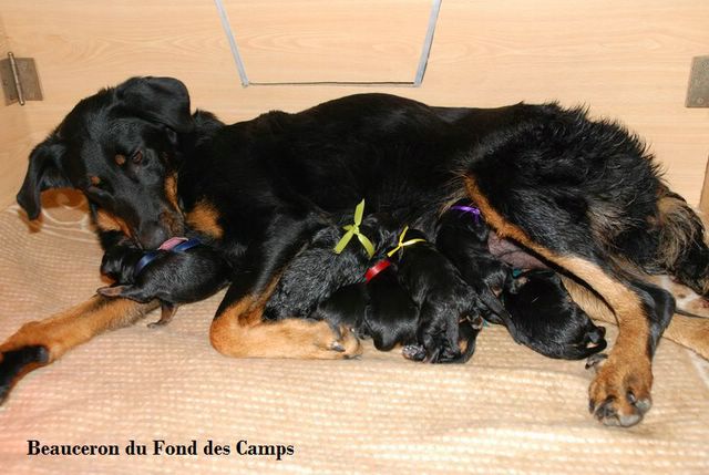 1e jour