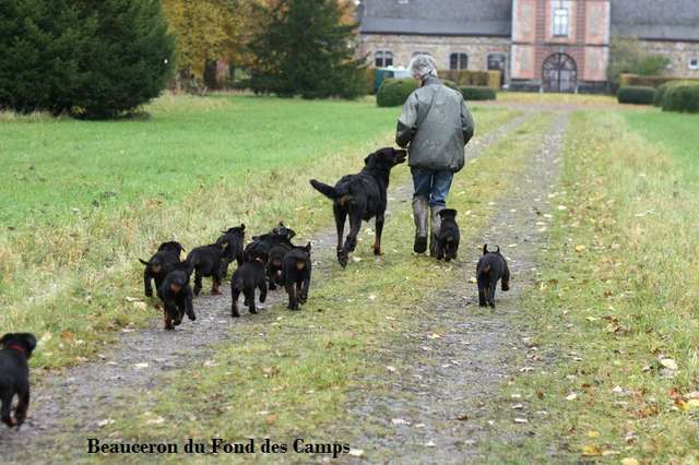 7 semaines 1/2