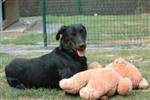 Darco et son nounours ...