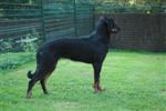 Diaz des Noires Collines, 10 mois