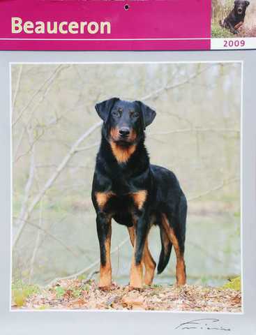 Couverture calendrier 2009