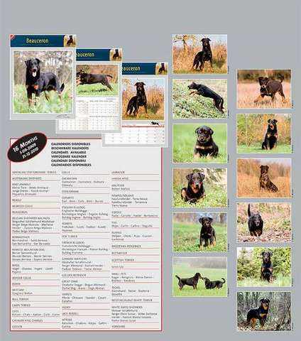 Toutes les photos