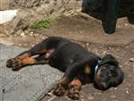 Petite sieste ...