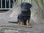 Adorable bouille !