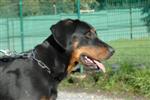 Luka, 10 mois