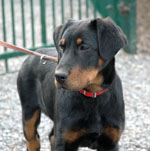 Luka 3 mois 1/2