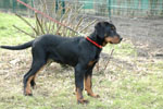 Luka 3 mois 1/2