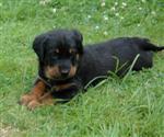Quelle bouille !