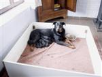 Bien install&eacute;e avec ses 8 beaux b&eacute;b&eacute;s !
