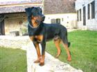 Super poseur ! 