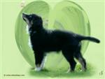 Fond d'&eacute;cran r&eacute;alis&eacute; par Arka's Dogs