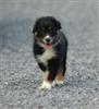 Au petit trot ! 
