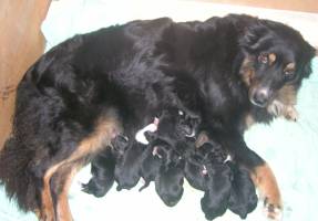 Avec maman, mes 2 fr&egrave;res et mes 6 soeurs