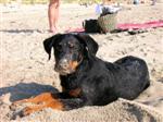 Eduard Dirk 4 mois