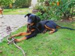 Eduard Dirk 4 mois