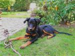 Eduard Dirk 4 mois