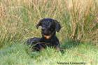 Presque 5 mois ...