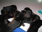 Trop mignons ces p'tits bouts !