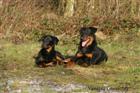 Bien sages pour la photo !