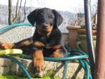 Une p'tite pose pour vous ! 