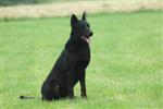 Un beau gamin de 2 ans 1/2 !