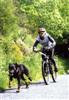 Champions en Bike aussi !
