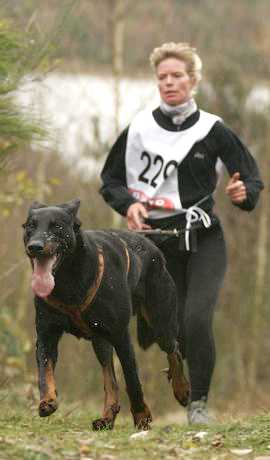 Championnat du Monde en Belgique