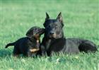 Et un p'tit bisou ! 