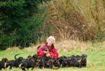 Evelyne et tous ses petits toutouilles ! 