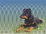 Fond d'&eacute;cran r&eacute;alis&eacute; par Arkas Dogs