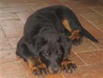 2 mois