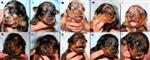 Les 10 chiots