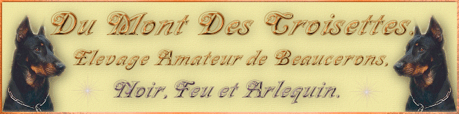 Le site d'Agathe