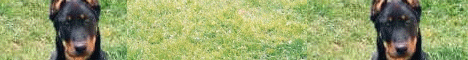 Le site de val