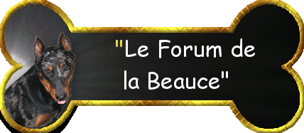 Le forum de Val