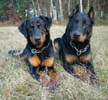 Udson et moi, bien sages pour la photo !