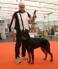 Je suis avec mon &eacute;leveur, Guy Bonnefoy, lors du Championnat de France &agrave; Strasbourg, et j'ai obtenu un Tr&egrave;s Prometteur en classe Puppy