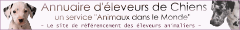 Animaux dans le monde