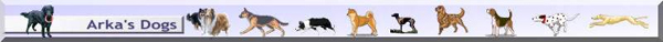 Arkas Dog