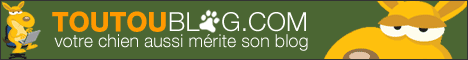 Toutou Blog
