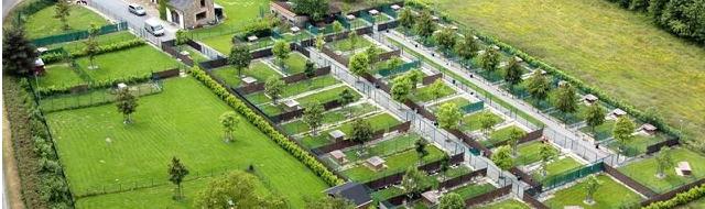 Pension canine - Fond des Camps