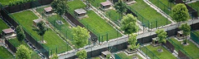 Pension canine - Fond des Camps