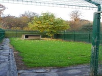 Pension canine - Photo infrastructure
