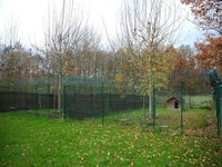 Pension canine - Photo infrastructure